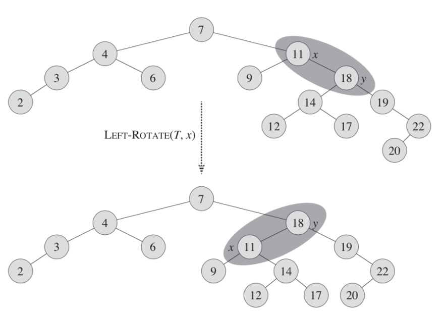 Left Tree rotation